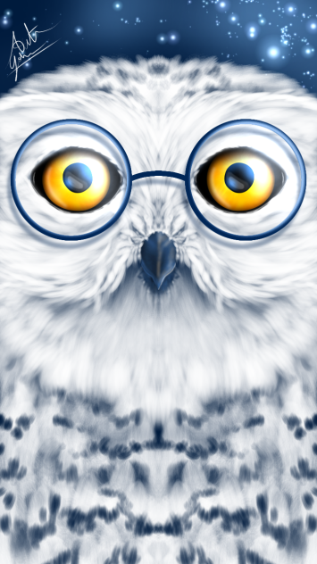 Quick Hedwig Drawing