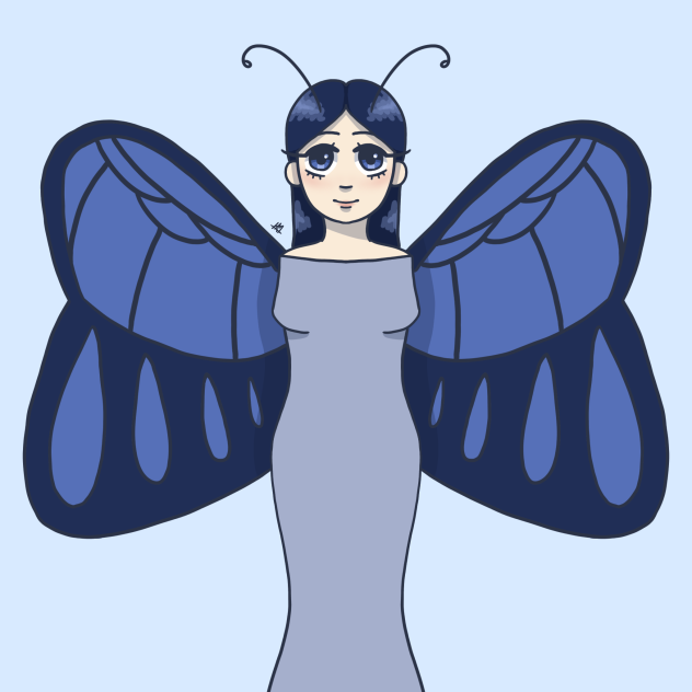 butterfly 06.06.2023