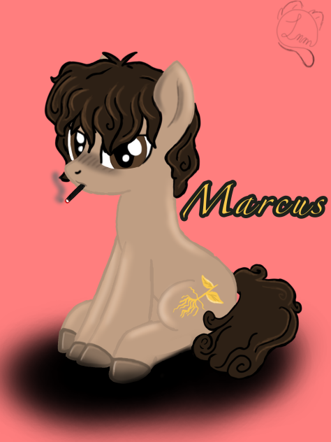 MLP Earth Pony Marcus