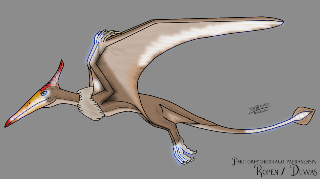 Ropen (2023) glows 2