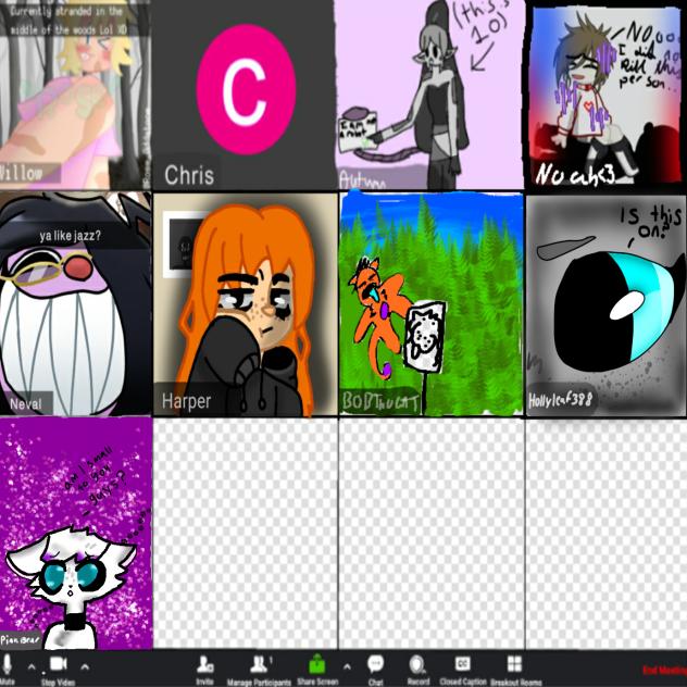 Zoom call collab