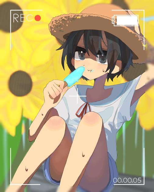 夏の日