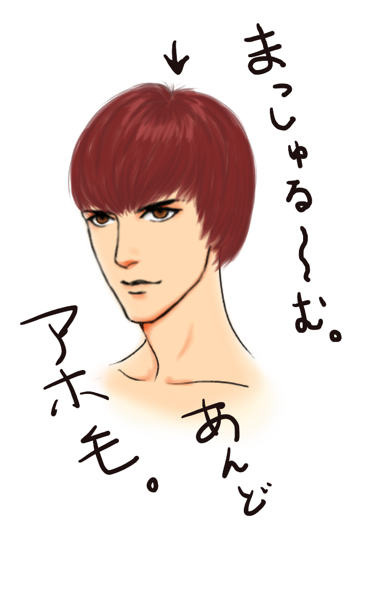 かつら装着 ibisPaint