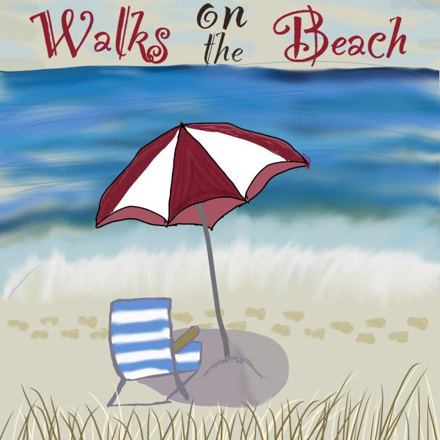 Walks on the Beach! 🏖️