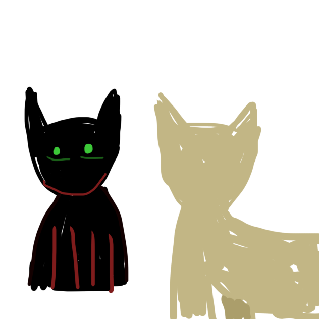 Two cats staring at each other🗿