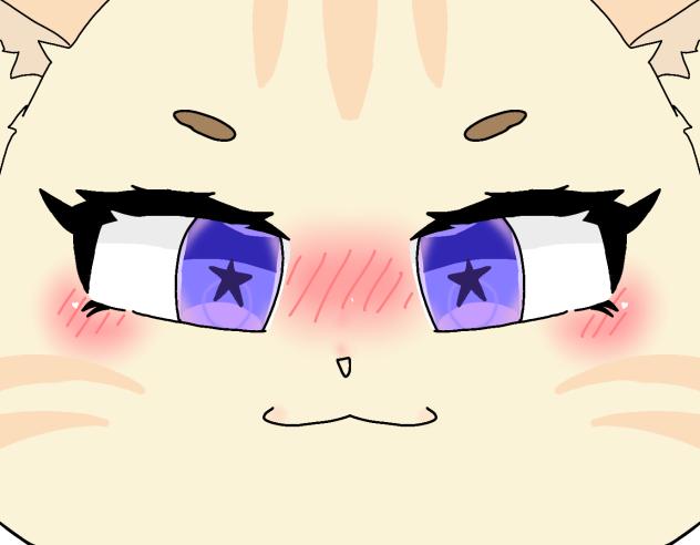 chuby cat