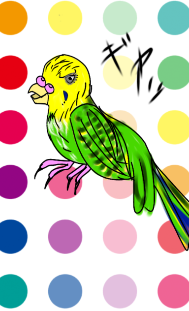 セキセイインコライム