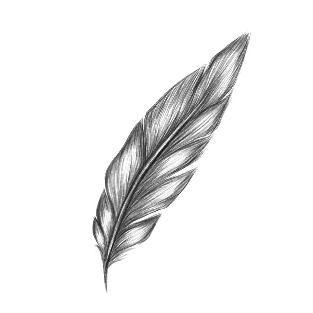 Feather