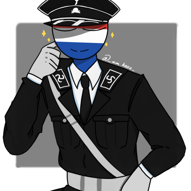 Reichskommissariat Netherlands ibisPaint