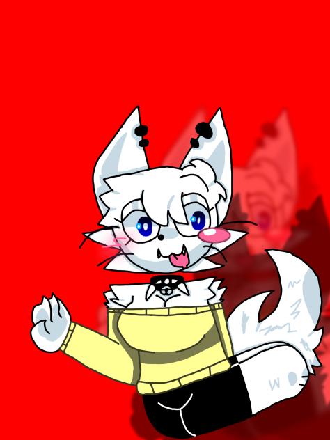 Wenda the cat🐱🤍