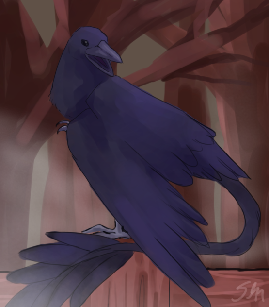 caW cAw