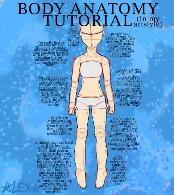 💙BODY TUT IN MY ART STYLE💙