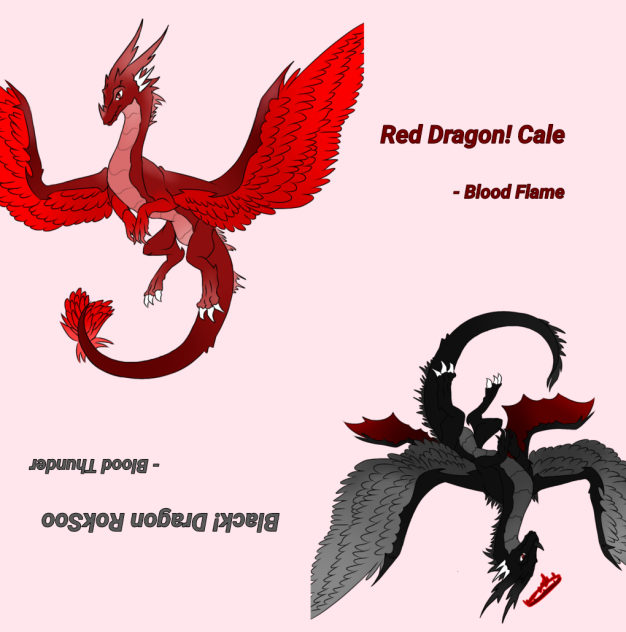 Blood Duo Cale & RokSoo