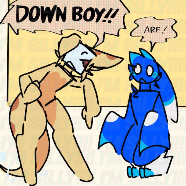 Down boy!