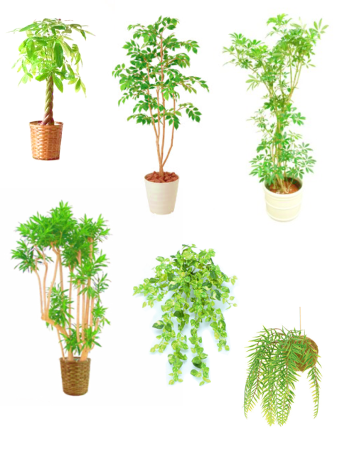 素材 観葉植物 Ibispaint 素材 観葉植物 Ibispaint