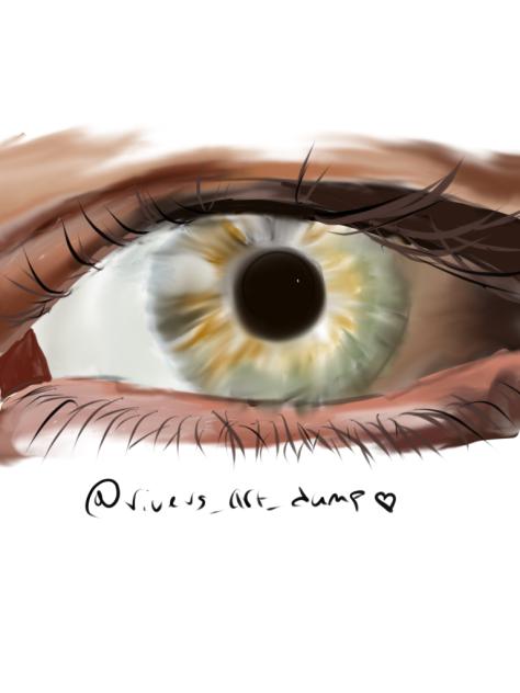 Eye