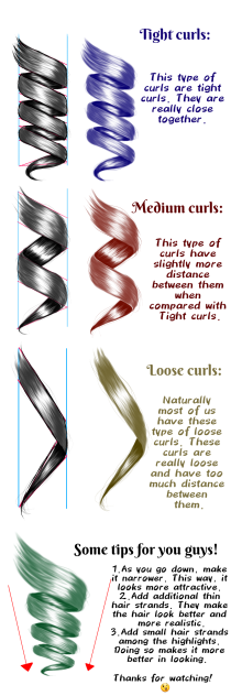 Different types of curls