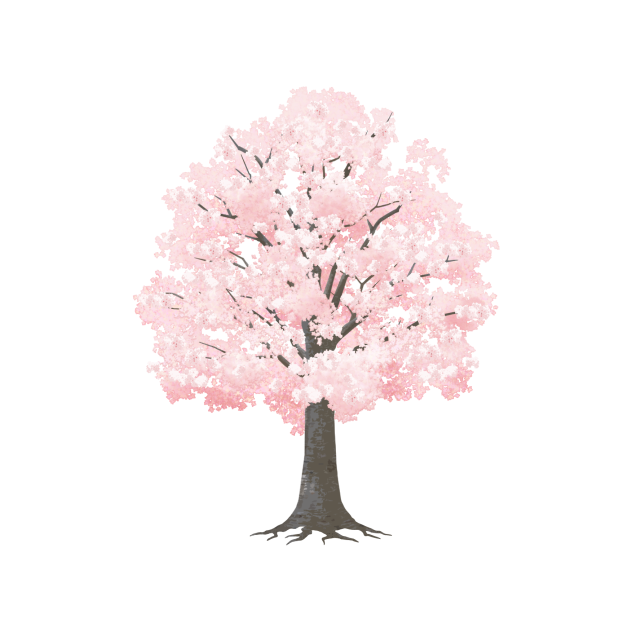 桜の素材❹