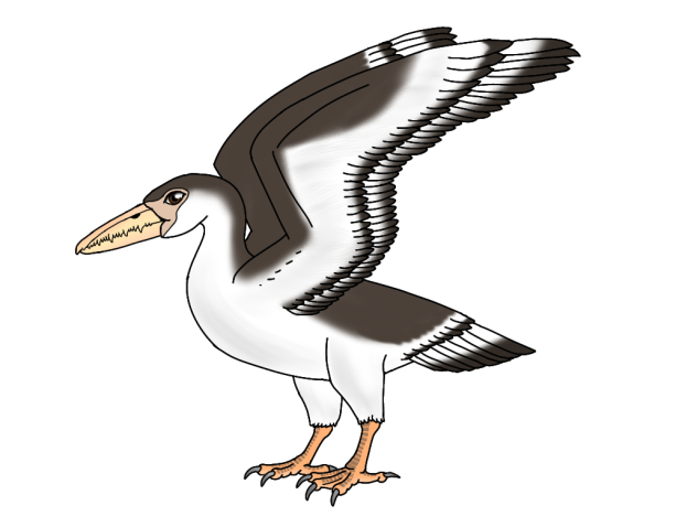 Pelagornis miocaenus