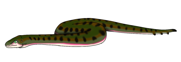 Swamp Bamza render