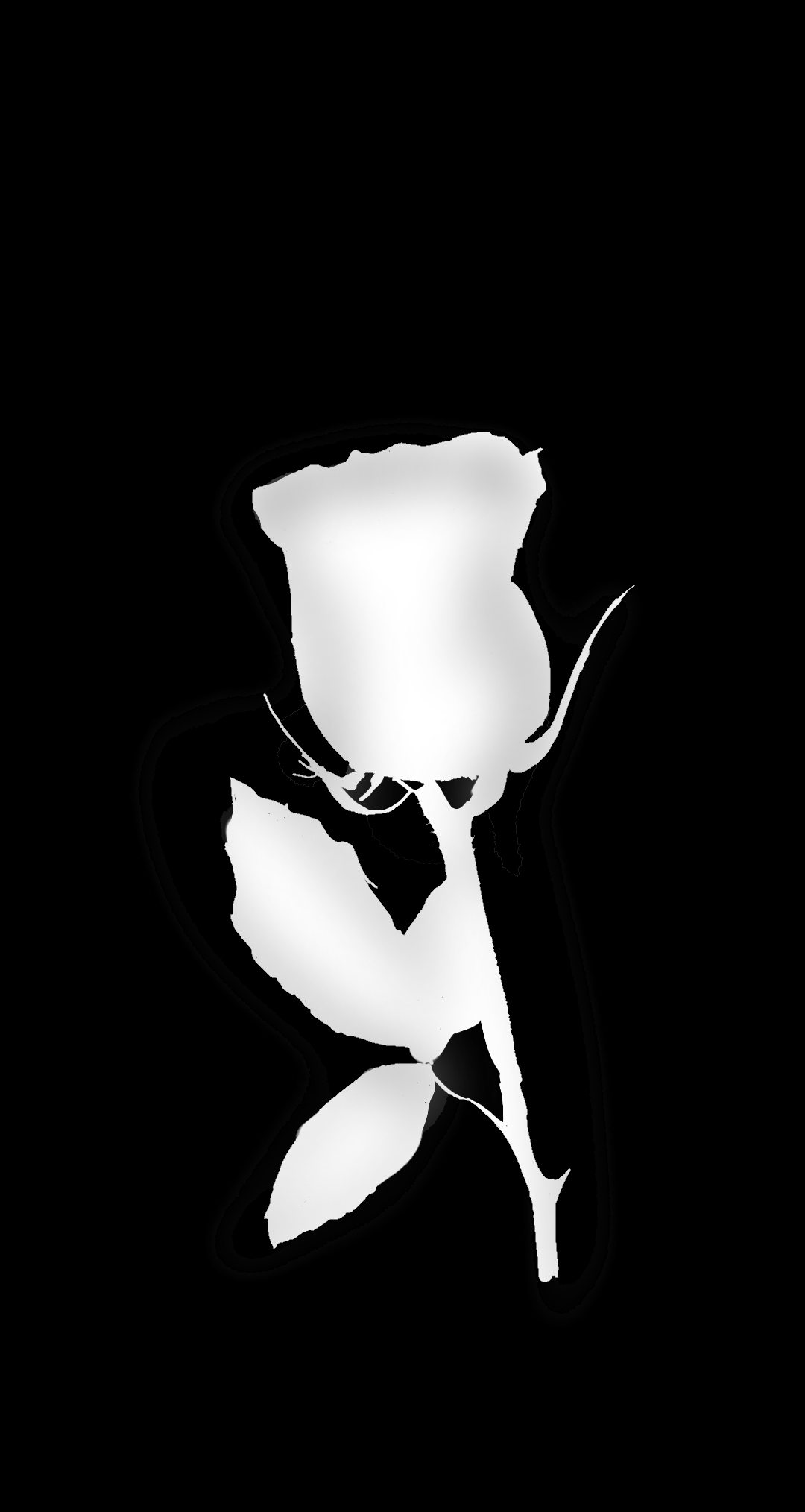 black and white - ibisPaint