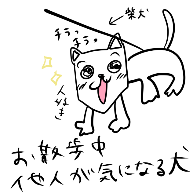 今日出会ったワンちゃん　柴犬