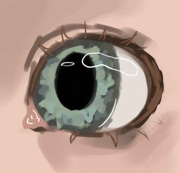 👁️ 2 - ibisPaint