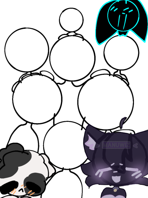 🐱Collb pets🐶