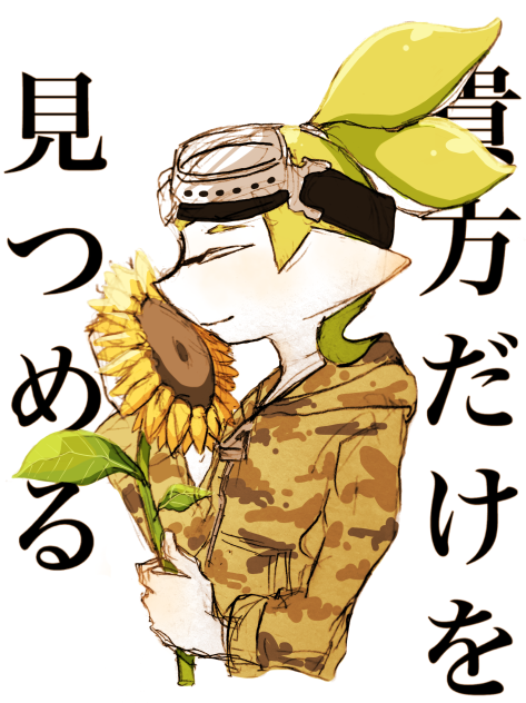 向日葵