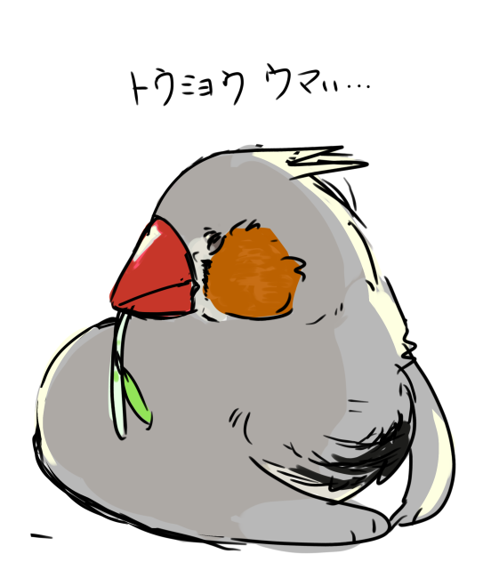 息抜きんか
