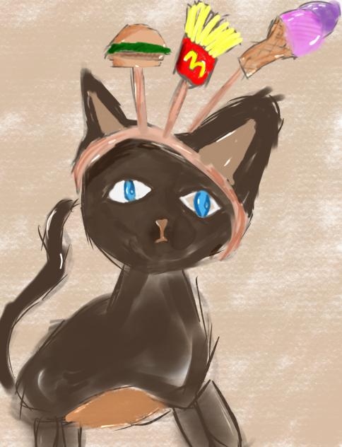 Welcome to McDonalds I’m cat!!!