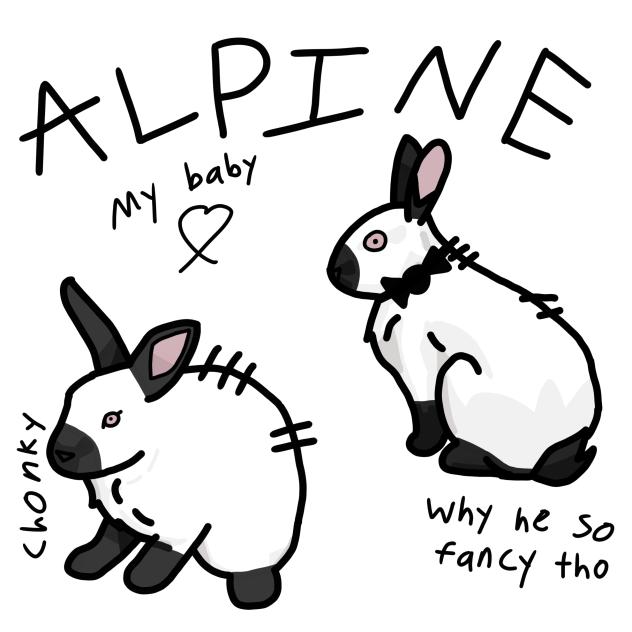 Alpine