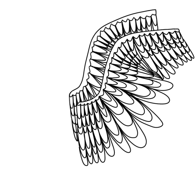 Lazy drawing of wings