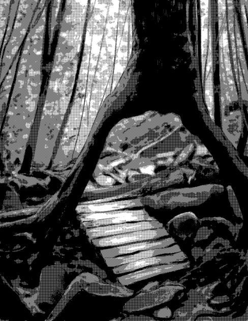 Tree hollow pathway 2