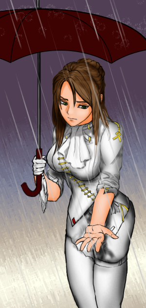 비오는 날의 리엔필드