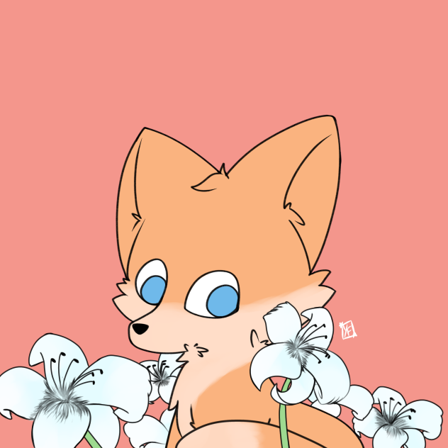 White Lilium Fox