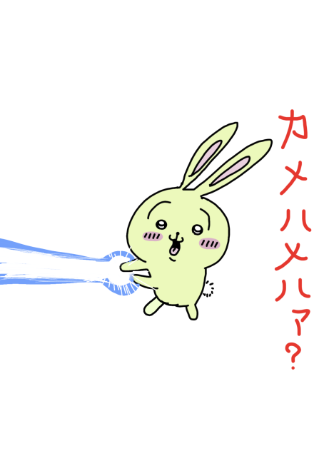 ちいかわ うさぎカメハメハァ？お直し