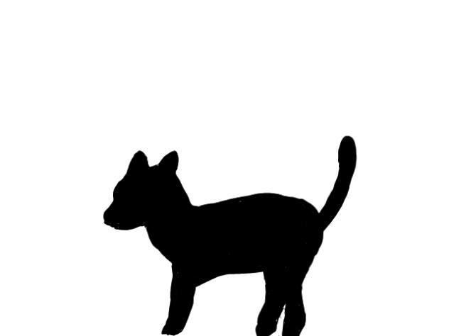 cat animation 🐈 🐈 😻 hihi