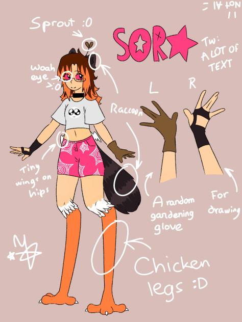 SORA REDESIGN