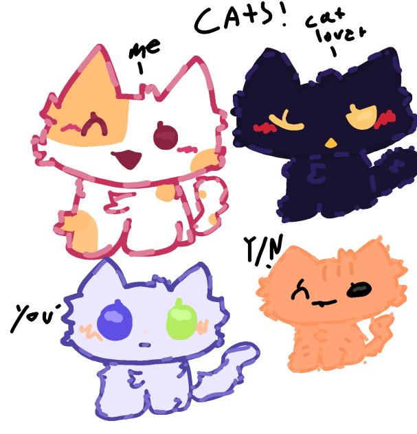 CATS!