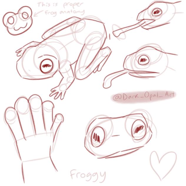I practice frog anatomy with no ref