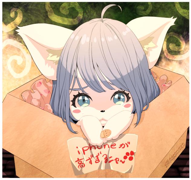 ☆iphoneが高すぎるニャー☆