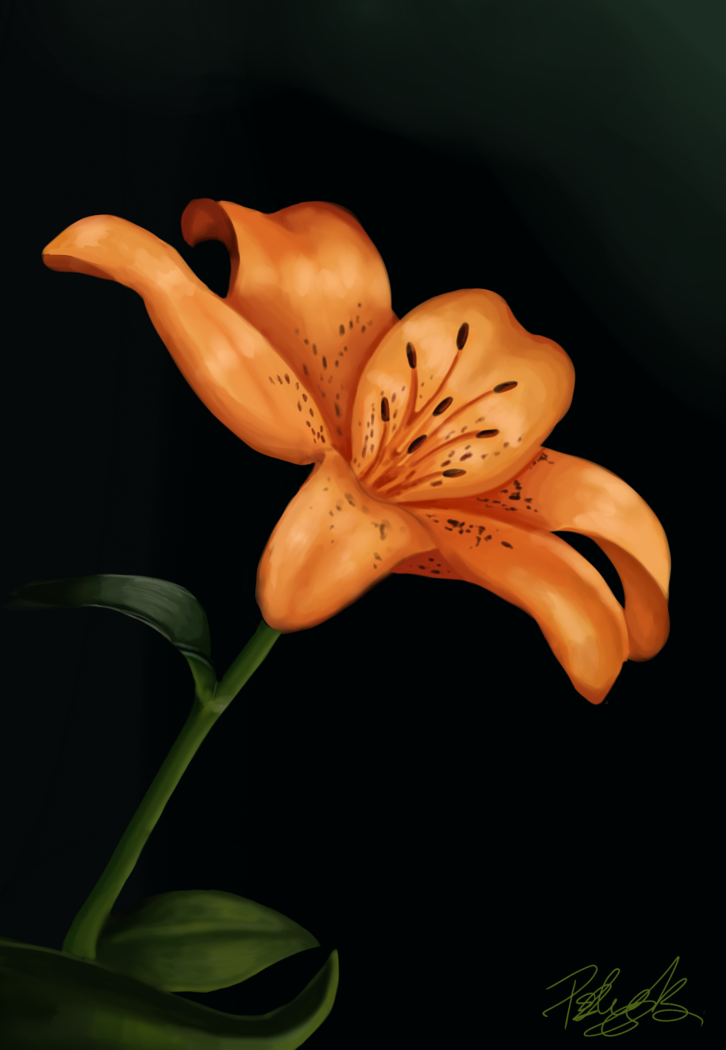 a flower - ibisPaint