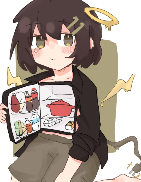 我が家の冷蔵庫が壊れた