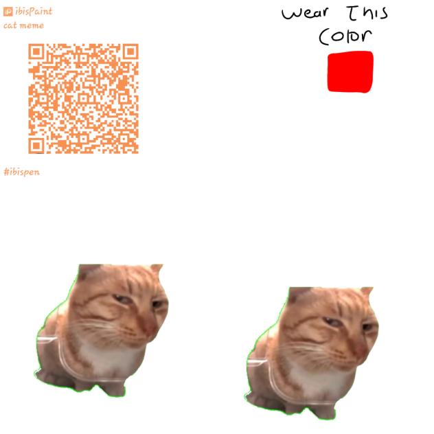 cat meme