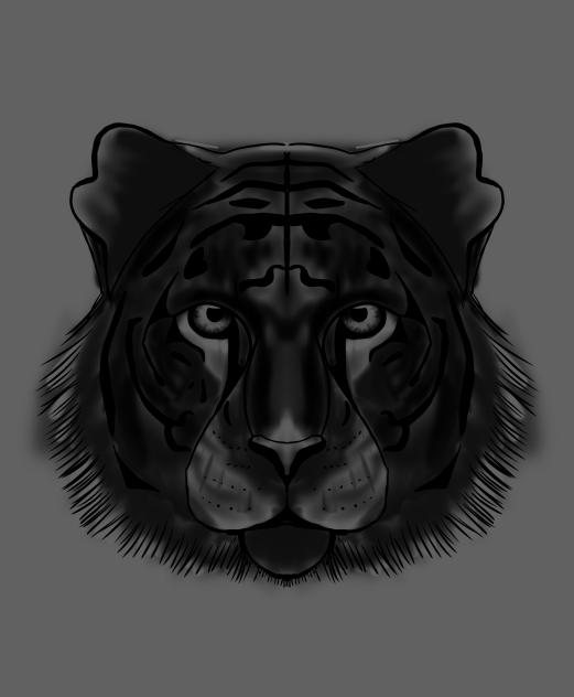 ○The Tiger○