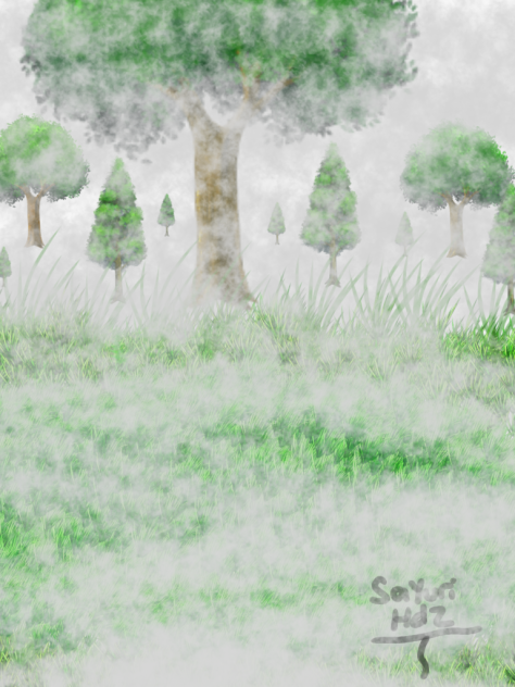 Bosque De Niebla