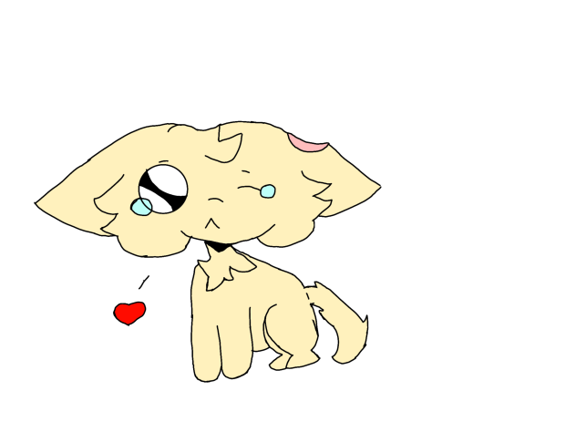 gatinho ferido