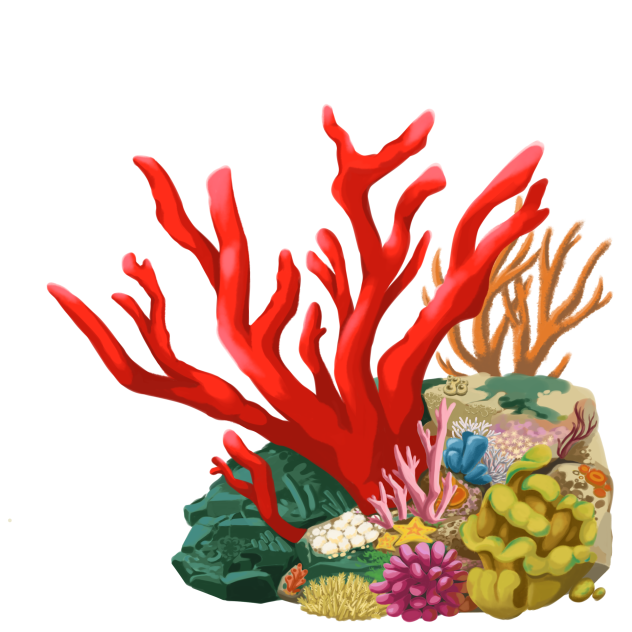 サンゴ礁