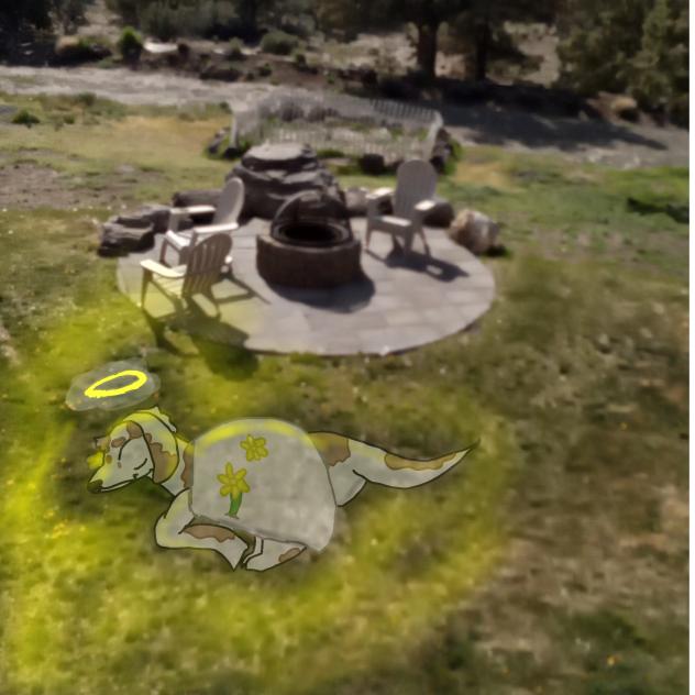 Goodbye buddy. You were a good boy